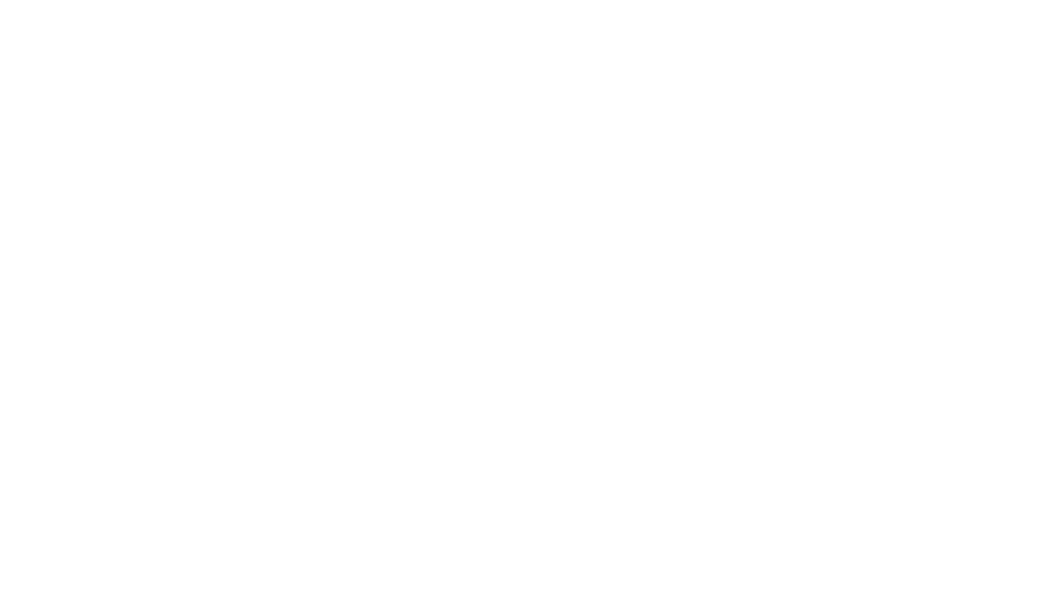 logo ce la vi